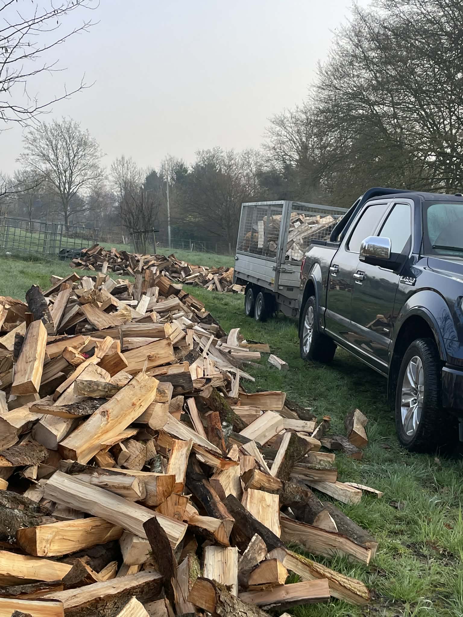 16e0cd95-5cf7-42f2-930f-a2644a31ce2c